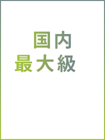 国内最大級のGeniee DPSによる広告配信